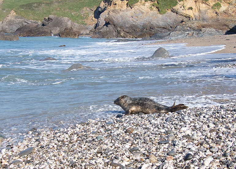 Seal Release - 30th April 2025