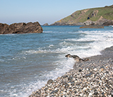 Seal Release - 30th April 2025