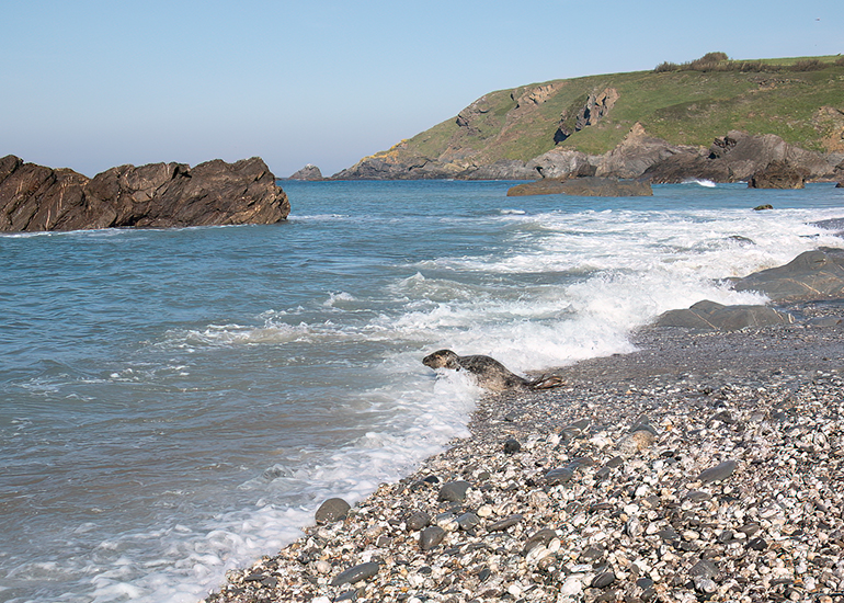 Seal Release - 30th April 2025