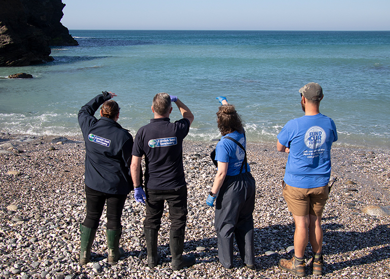 Seal Release - 30th April 2025