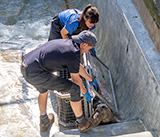 Seal Release - 30th April 2025