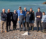Seal Release - 30th April 2025