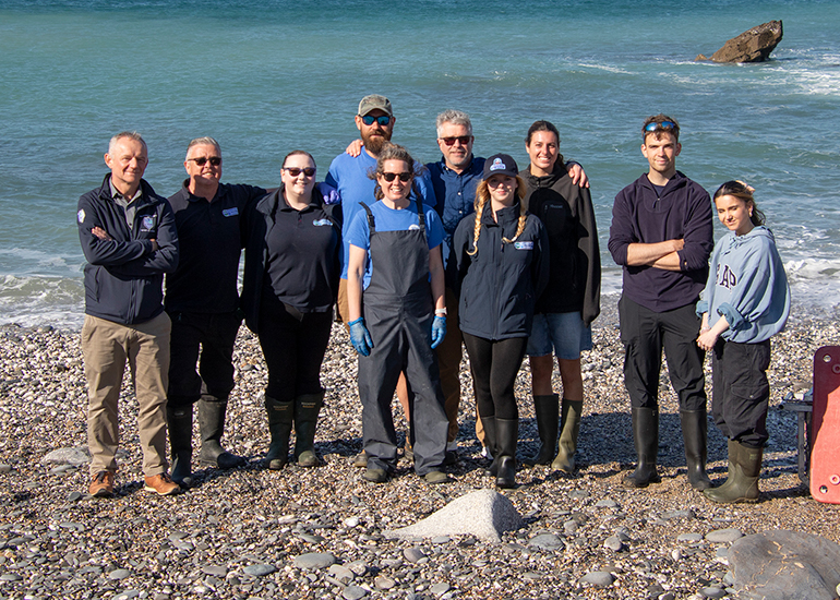 Seal Release - 30th April 2025