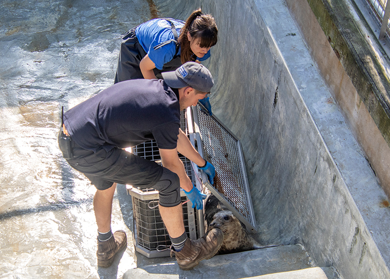 Seal Release - 30th April 2025