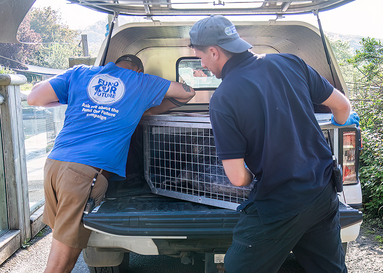 Seal Release - 30th April 2025