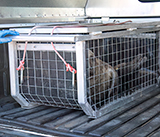 Seal Release - 30th April 2025