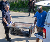 Seal Release - 30th April 2025