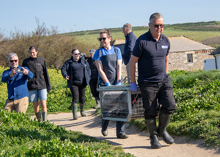 Seal Release - 30th April 2025