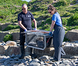 Seal Release - 30th April 2025