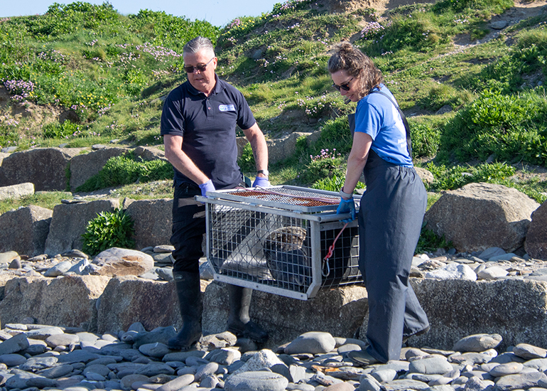 Seal Release - 30th April 2025