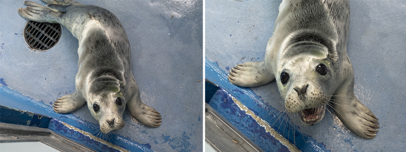 S'Mores - 2nd September 2025