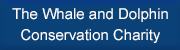 The Whale & Dolphin Conservation