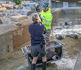Seal Release - 24th September  2026