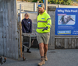 Seal Release - 24th September  2026