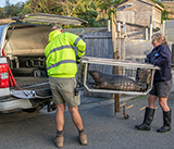 Seal Release - 24th September  2026