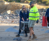 Seal Release - 24th September  2026