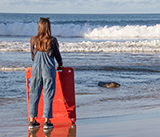 Seal Release - 24th September  2026