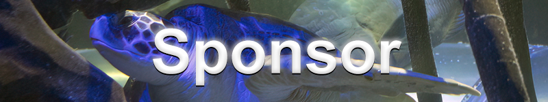 sponsor banner