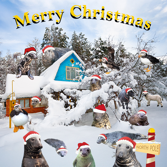 Christmas card 2024
