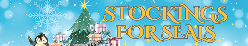 Christmas Stocking for Seals