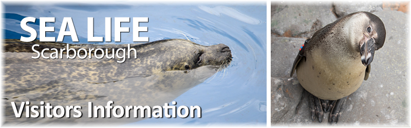 [SEA LIFE Scarborough  - VISITORS INFORMATION]