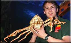 Rob holding our Japanese Spider Crab 