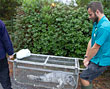 Jessie J being carried in transportation cage to the hospital by Dan and Dave Jarvis
