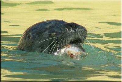 This photo was taken by Julie and Dave from Belper in Derbyshire during their visit in September 2008