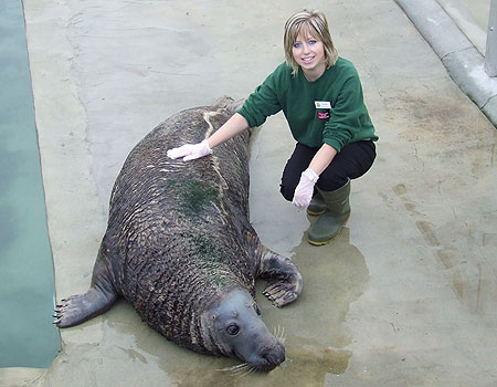 Laura Ward, our marketing coordinator, gets seal of approval