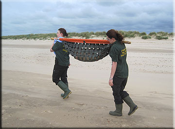 Hayley Webster and Hollie Stephenson rescue Linda to clean up her cuts
