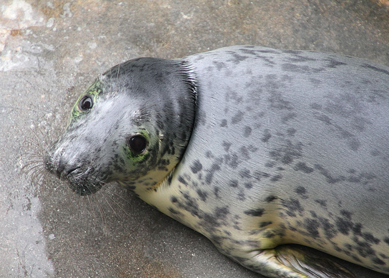 Photo of Mary King taken on 31st December 2011