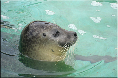 Photo sent in by Claire Mellish