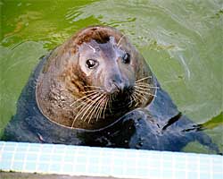 Ming, was one of our residents