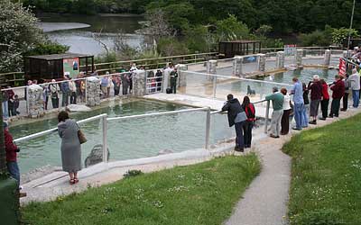 View of the Californian Sea Lions and Fur Seals enclosures