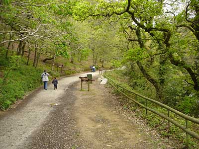 Nature trail