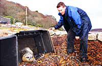 Nelson, back into the wild, watched by Mark