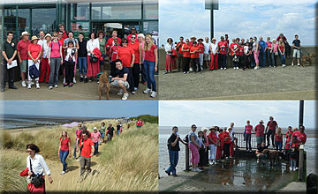 Walk for Whales