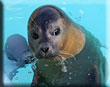 News Update - March 2013