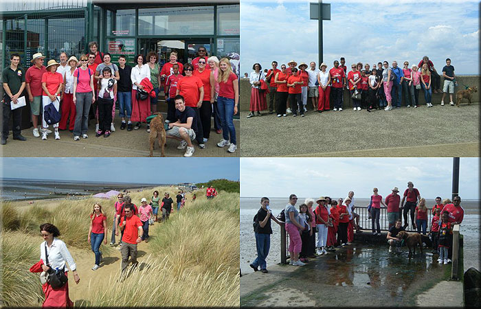 Walk for Whales