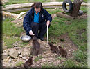 Otter