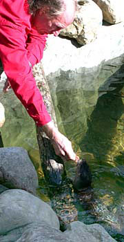 Terry feeds Sula