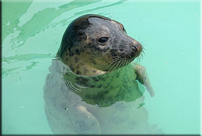 This photo was taken by Kenny Pask during a visit with his grandson on 4th April 2009 