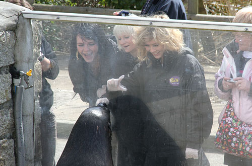 Pirate FM's girlband 'Eden' doing target training with the fur seals