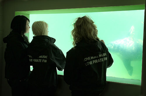 Pirate FM's girlband 'Eden' in the underwater seal viewing centre