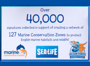 March to Save Sea Life