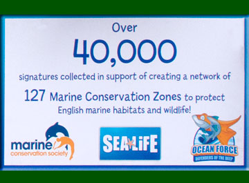 March to Save Sea Life