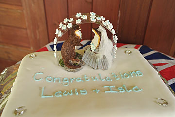 Fish mulch wedding cake