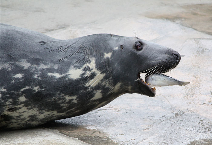 Photo copyright of Rebecca Chinn
