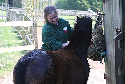 Tuppence being shampooed by Jenna