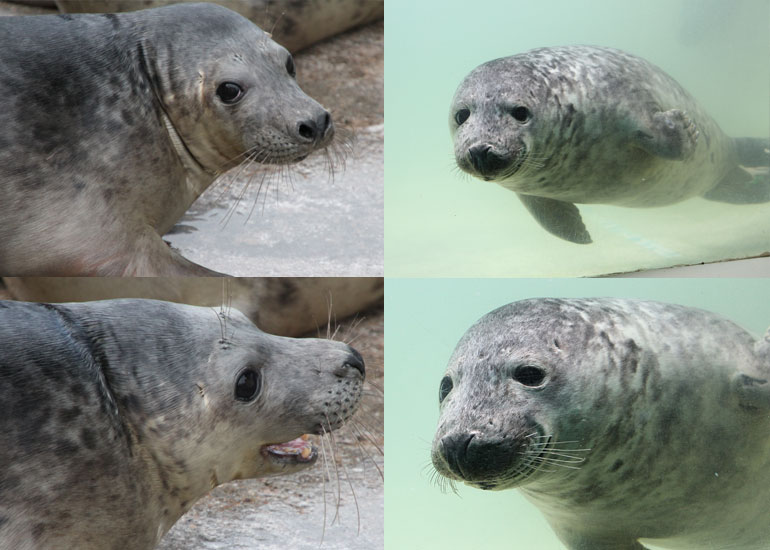 Photos of Ronseal taken on 28th December 2011